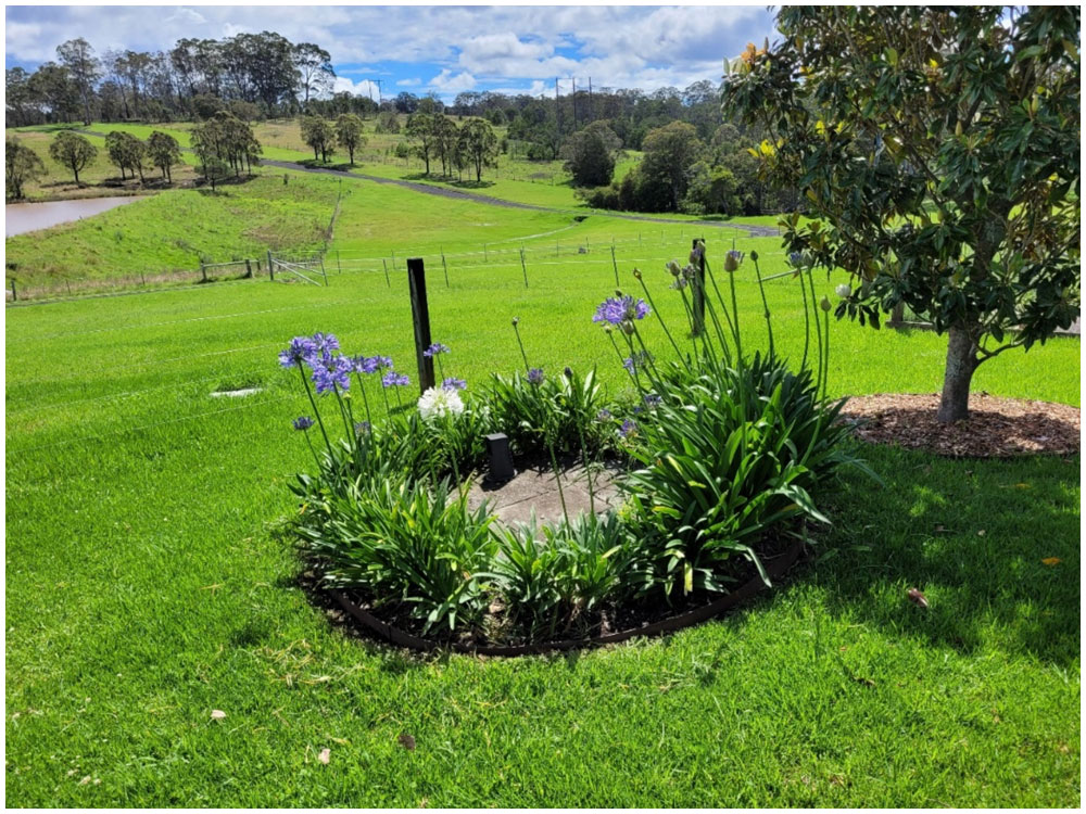 Image is not available